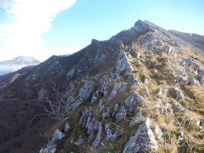 Porrón de Cerrosa