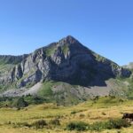 Pico Mocoso