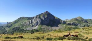 La Peral – PICO MOCOSO, 1.989 m – Villar de Vildas