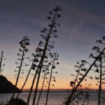 Trekking Cabo de Gata