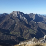 Collau Zorro